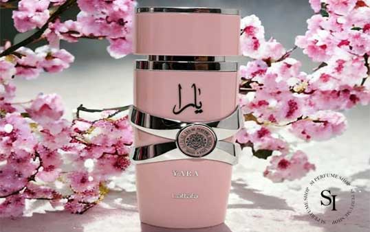 بهترین های عطر و ادکلن لطافه